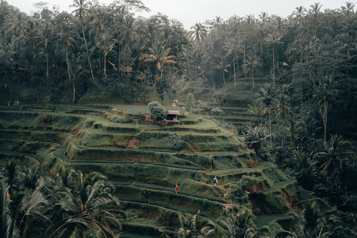Bali