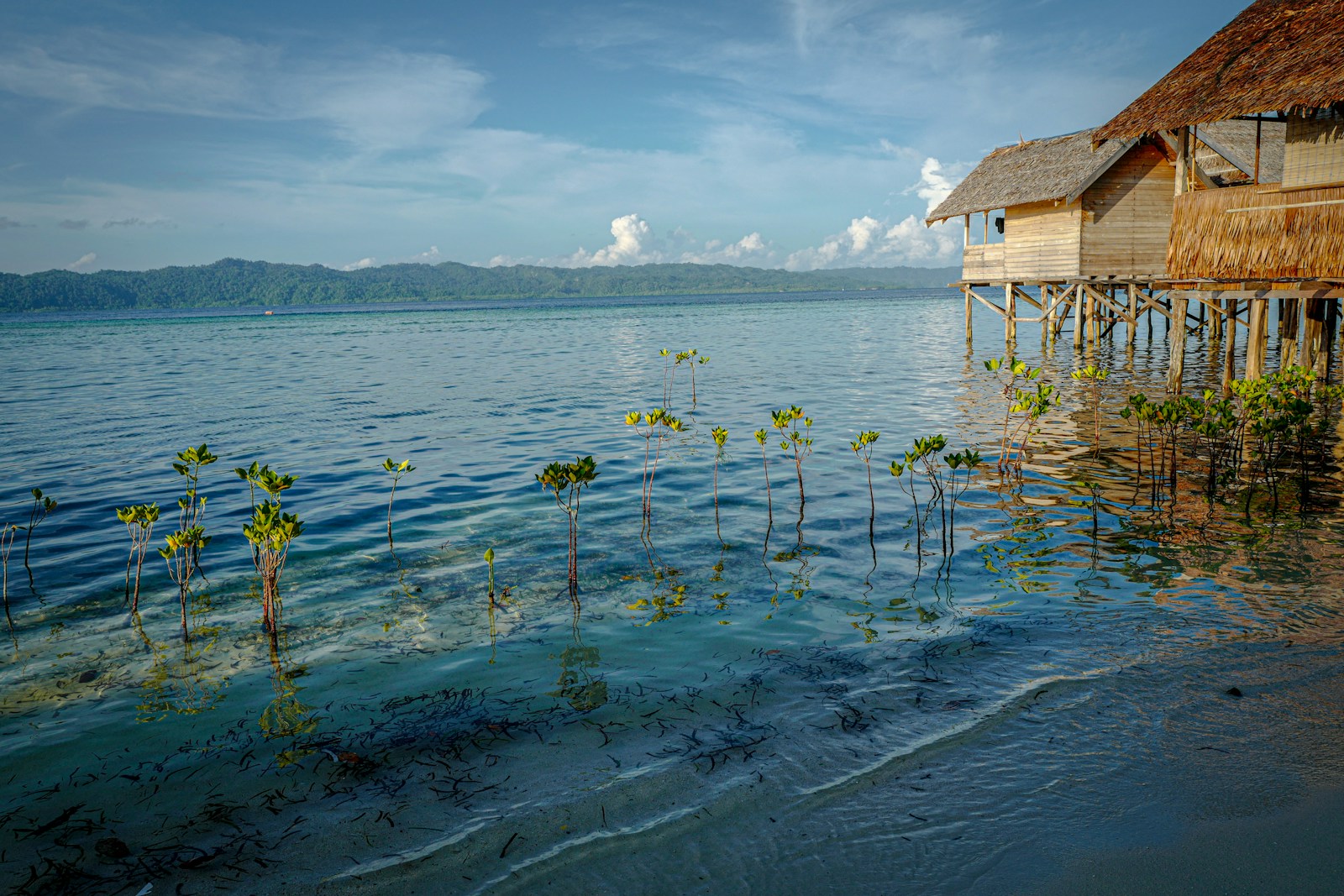 Overwater homestay bungalow, Raja Ampat
